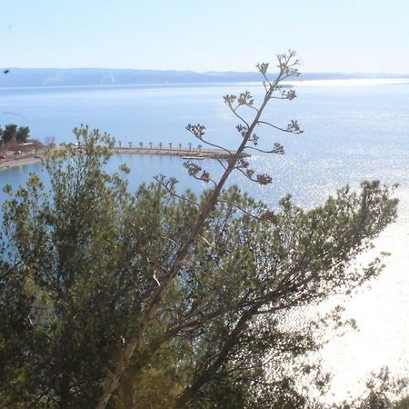 Paradise Apartment With Big Sunny Terrace In The Old Town, Few Meters From The Sea & Riva Promenade Split Eksteriør bilde