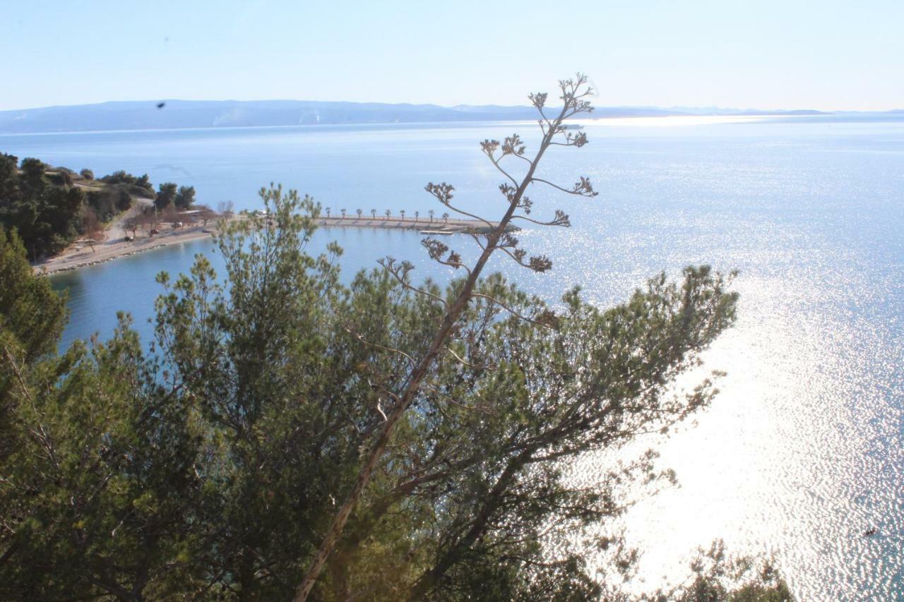 Paradise Apartment With Big Sunny Terrace In The Old Town, Few Meters From The Sea & Riva Promenade Split Eksteriør bilde